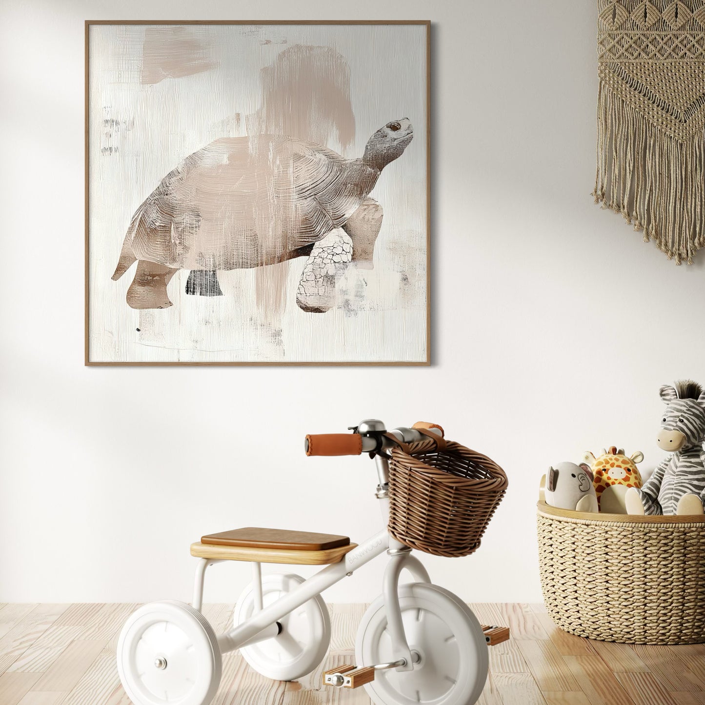 צב יבשה צב יבשה